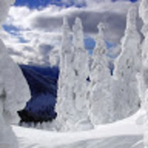 Meet your Posher, R.j.